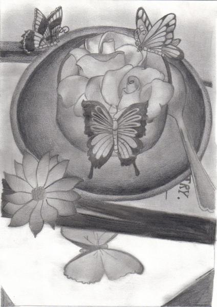 o�O�o Butterfly vs flowers o�O�o